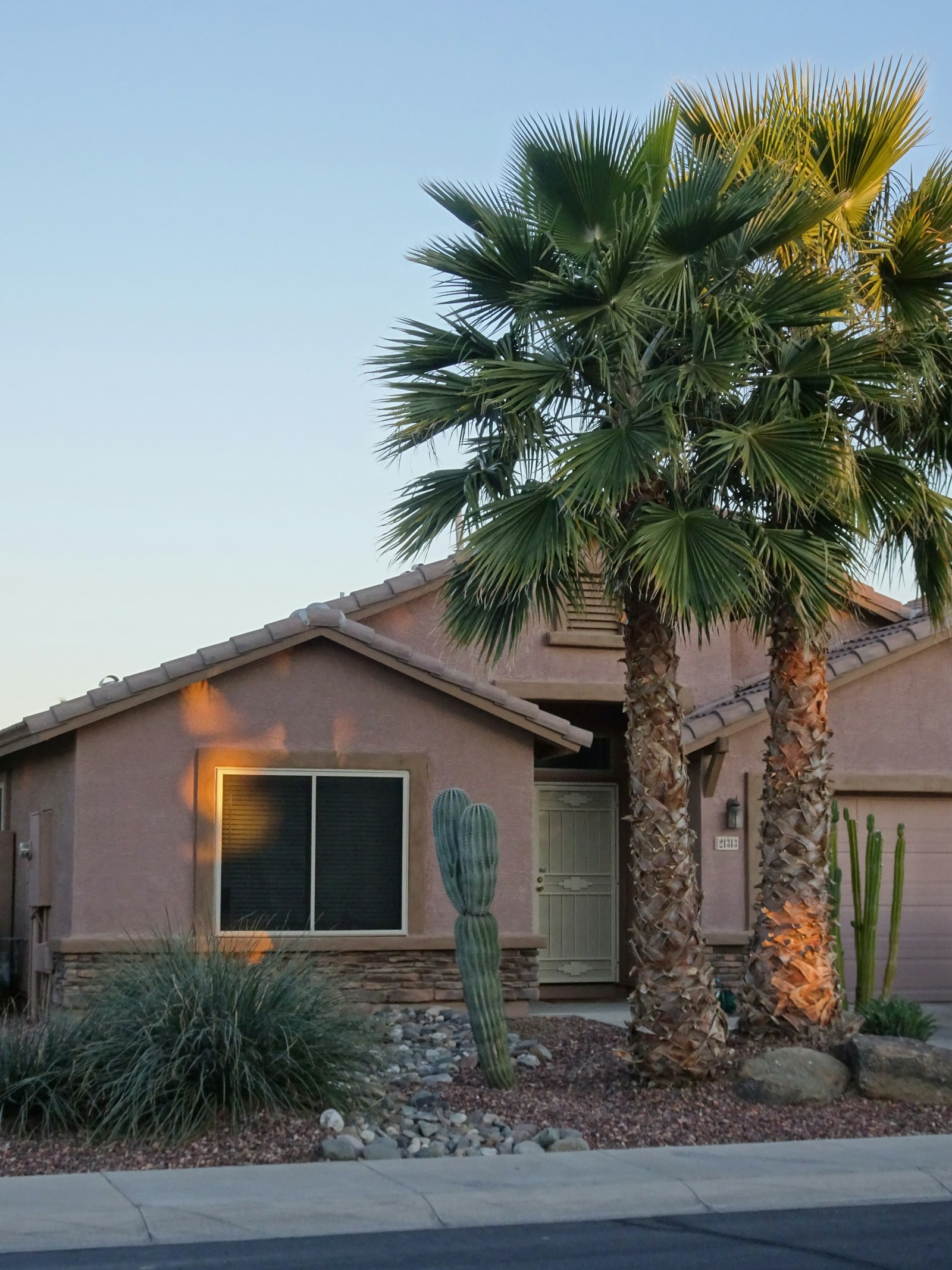 Stucco home with tile roof, palms and a saguaro out front, typical Gilbert housing